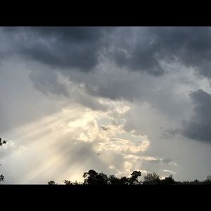 Meet your Posher, Windy